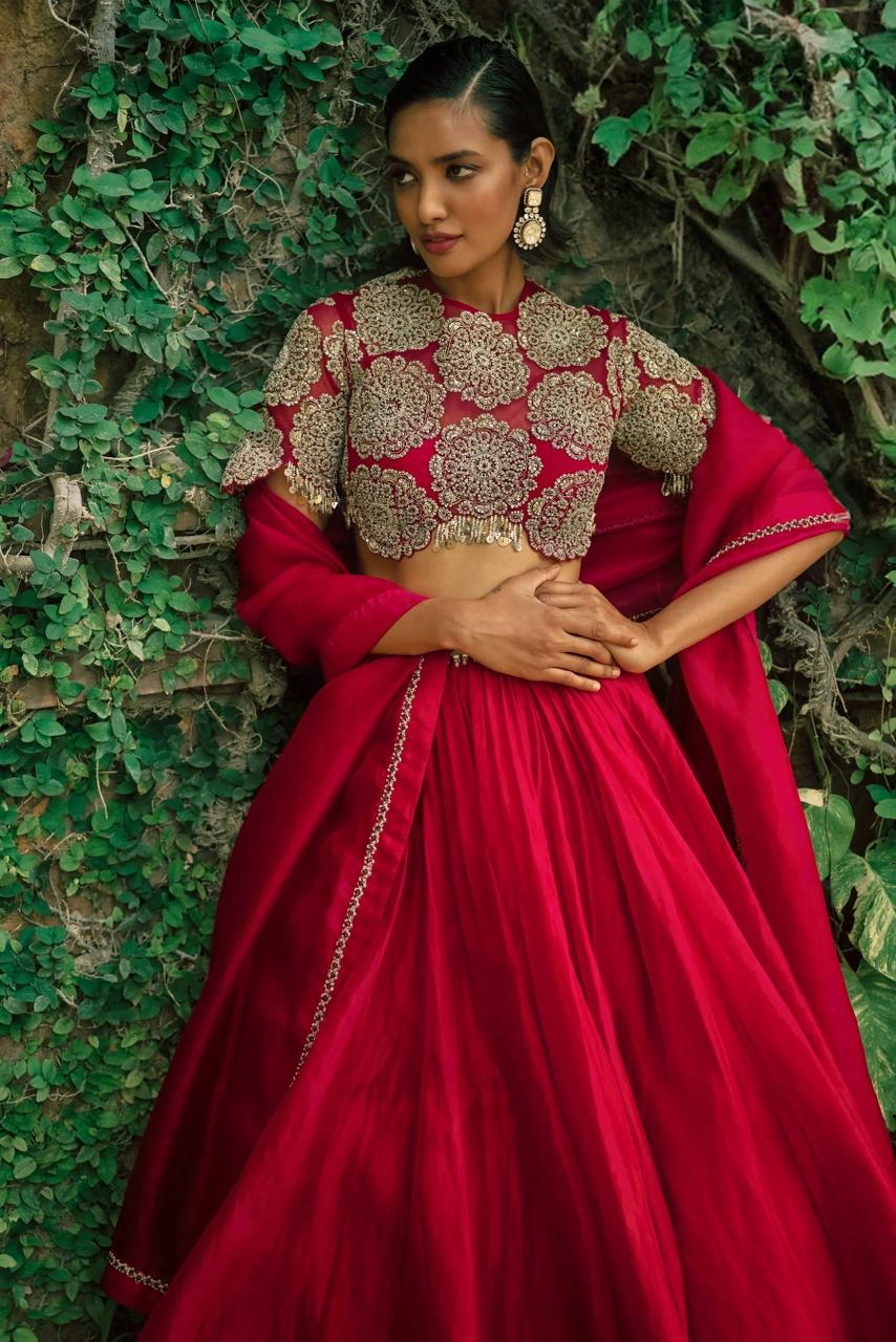 Aaryelle Gulista Lehenga Choli