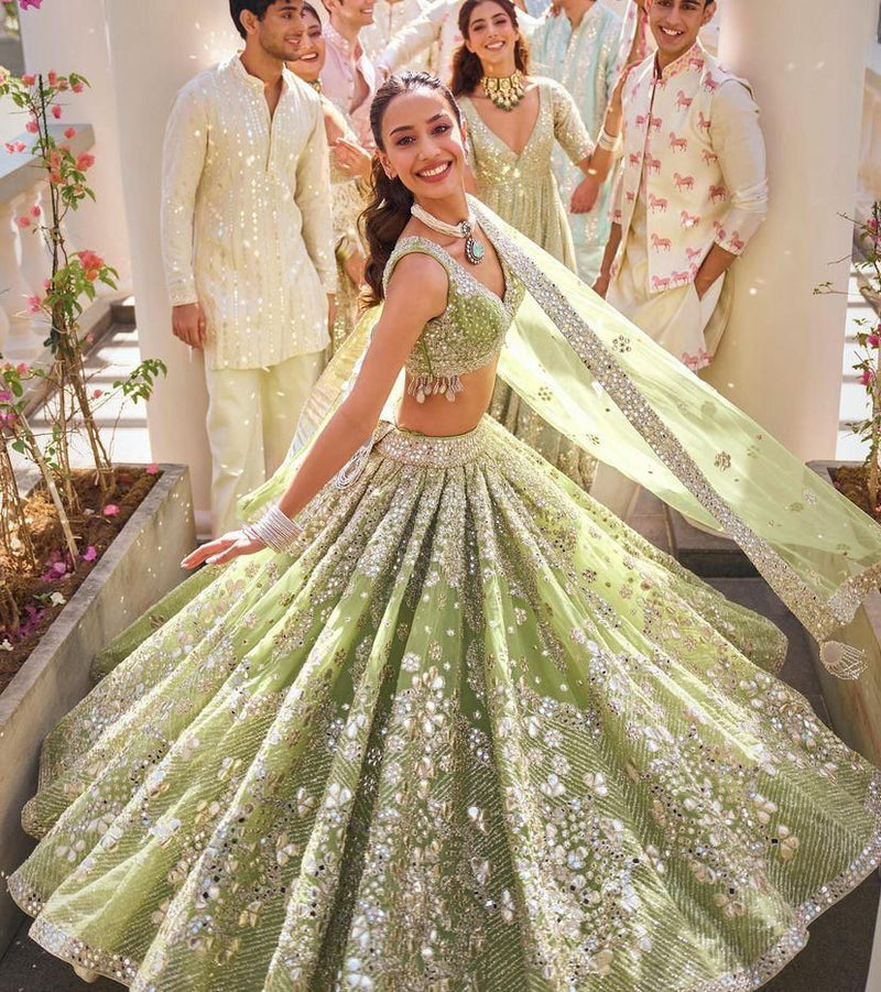 Ridhima Royale Lehenga Choli