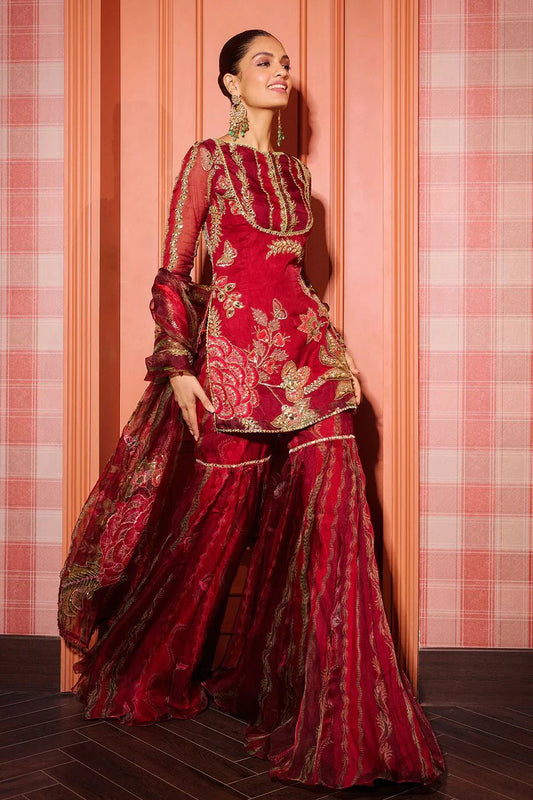 Ethno Opulence Salwar Suit