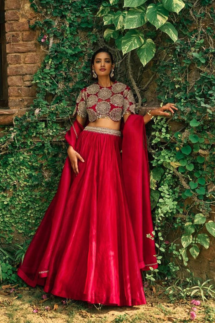 Aaryelle Gulista Lehenga Choli