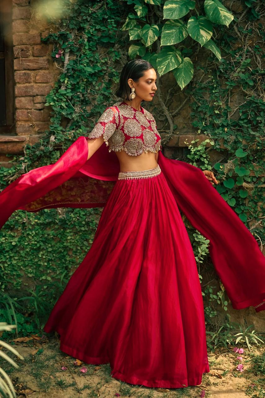Aaryelle Gulista Lehenga Choli