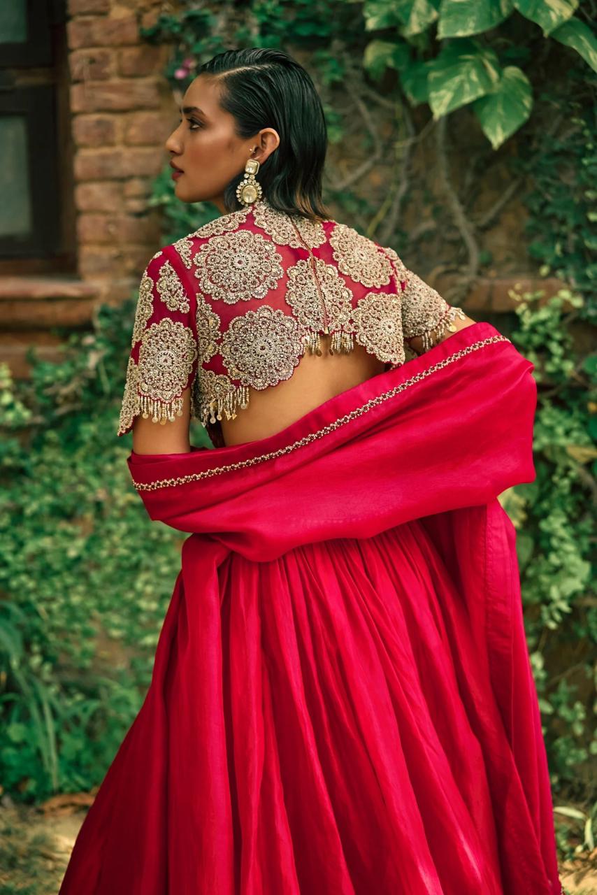 Aaryelle Gulista Lehenga Choli