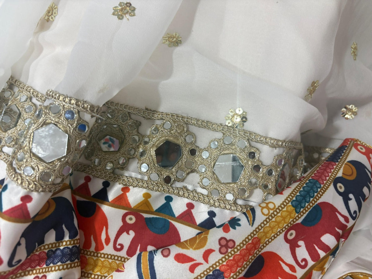 Navrasa Royale Navratri Lehenga Choli
