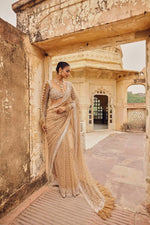 Royal Radiance Net Saree