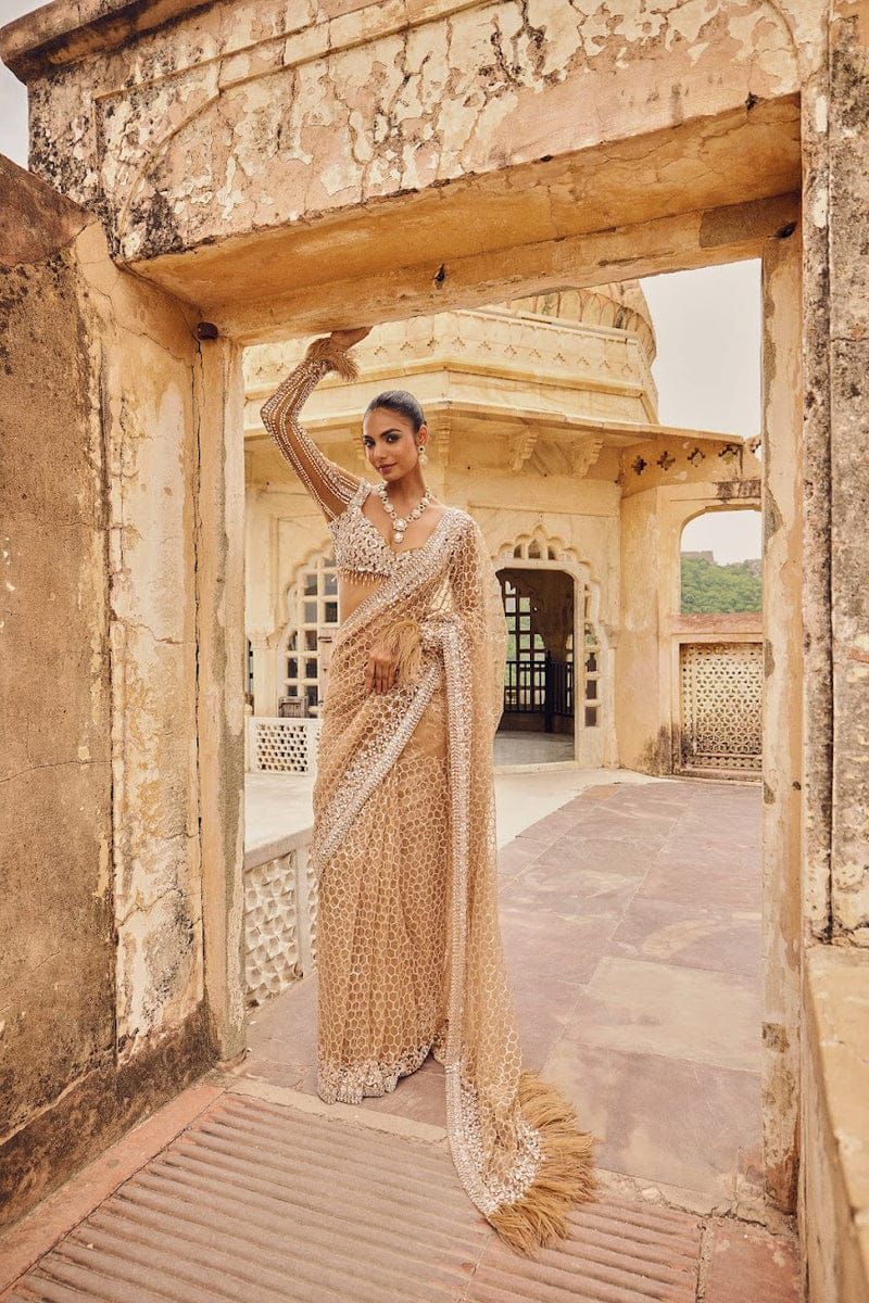 Royal Radiance Net Saree