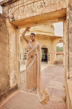 Royal Radiance Net Saree