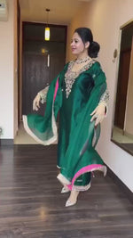 Royal Radiance Salwar Suit